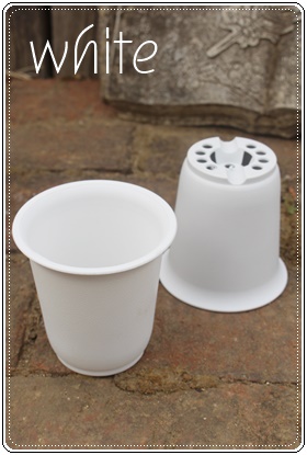 プラスチック鉢LB2.5号白の販売,プラスチック鉢LB2.5号白の通販,多肉の鉢2.5寸白販売,プラスチック鉢LB3号白通販,プラ鉢3号白激安,プラスチック鉢LB3号白通販,多肉永遠たにくとは