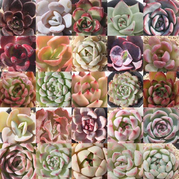 026�؍��c���ܔ̔�,�G�P�x���A�̕��ܔ̔�,�����A�� ����,�����͂������y����,�l�C�i�����Z�b�g,�G�P�x���A���ܒʔ�,�������ܔ̔�,���A���� ���y���݋l�ߍ��킹 ���ʌ���,�����i�����ܕ]��