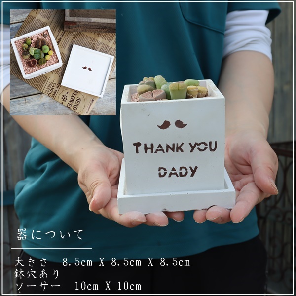 A̓̕Mtg,̓ɑA𑡂,ɂ̓,ȕ̓̃v[g,̓,̓T{e,̓,ɂ̊񂹐A,Å񂹐A̔,A̓̑̕蕨̔,i